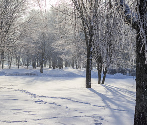 Similar image 22470709