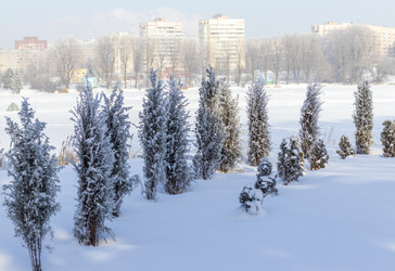 Similar image 22470710