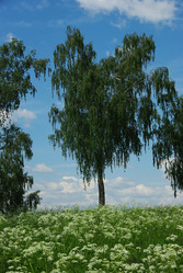 Similar image 22456524