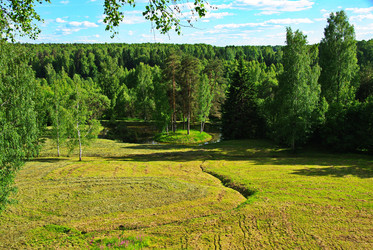 Similar image 22456526