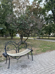 Similar image 22456489