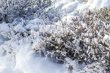 Similar image 22470761