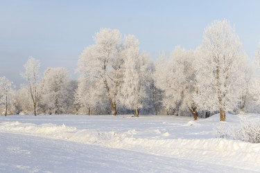 Similar image 22470762