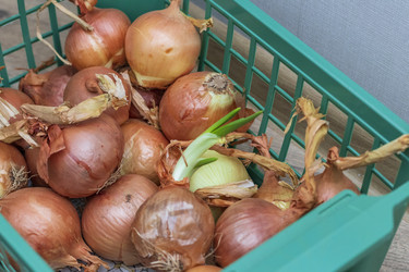 Similar image 22470769