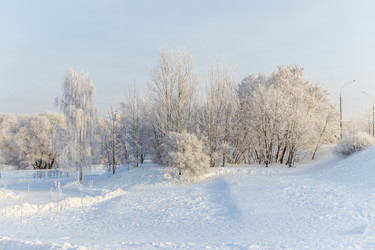 Similar image 22470770