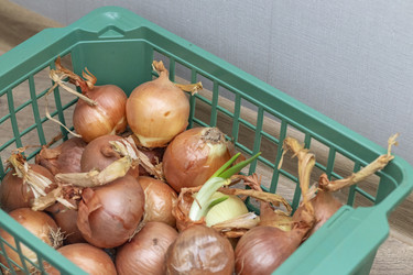 Similar image 22470774