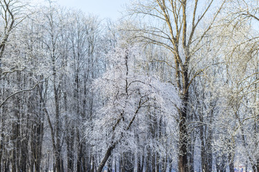 Similar image 22470783