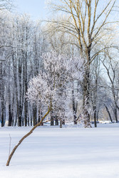 Similar image 22470784