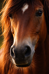 Similar image 22476328