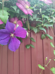 Similar image 22456623