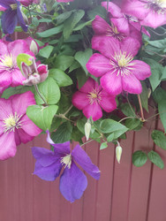 Similar image 22456625