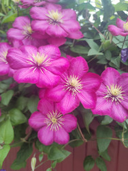 Similar image 22456626