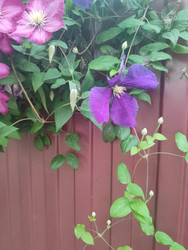 Similar image 22456628