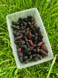 Similar image 22456631