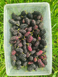 Similar image 22456632