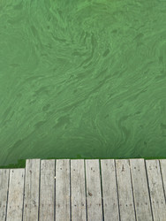 Similar image 22456634