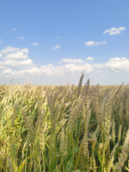 Similar image 22456635