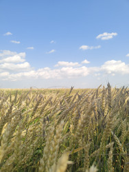 Similar image 22456643