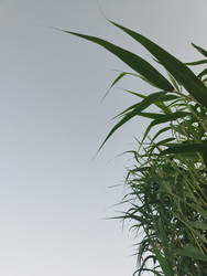 Similar image 22456644