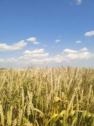 Similar image 22456645