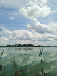 Similar image 22456646