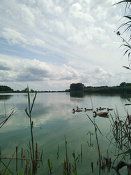 Similar image 22456648