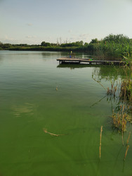 Similar image 22456649