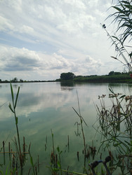 Similar image 22456650