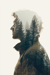 Similar image 22457229