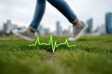 Similar image 22457382