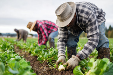 Similar image 22457563