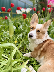 Similar image 22460703