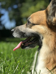 Similar image 22460704