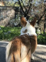 Similar image 22460705