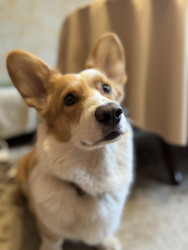 Similar image 22460719