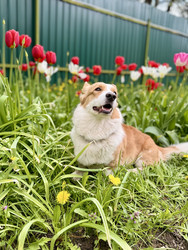 Similar image 22460721