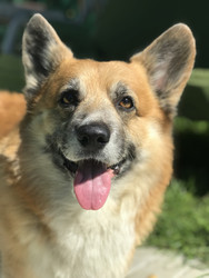 Similar image 22460722