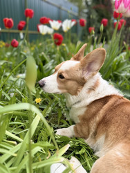 Similar image 22460723