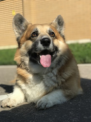 Similar image 22460724