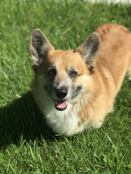 Similar image 22460725