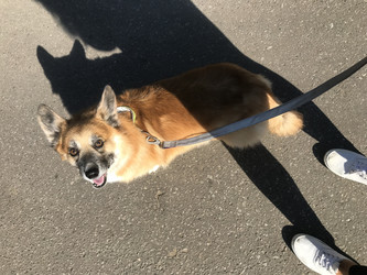 Similar image 22460727