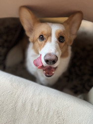 Similar image 22460728