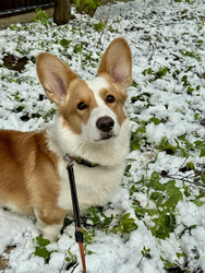 Similar image 22460706