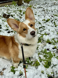 Similar image 22460707