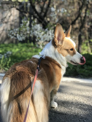 Similar image 22460708