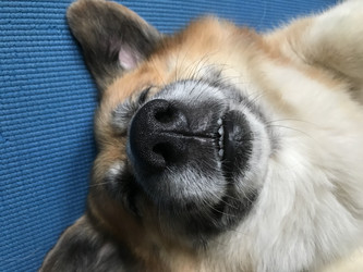 Similar image 22460709