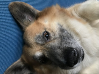 Similar image 22460710