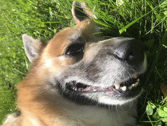 Similar image 22460711