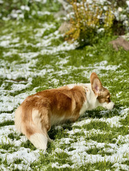 Similar image 22460712