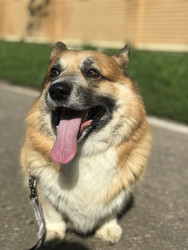 Similar image 22460713